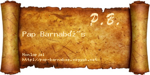 Pap Barnabás névjegykártya