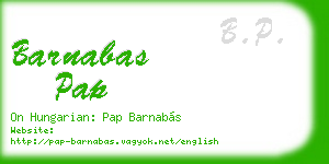 barnabas pap business card